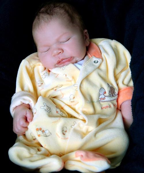 Günstige Babyfotos in München: Fotostudio Wagner